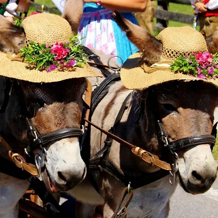 Haus Intaba 公寓 拉姆绍达赫斯坦