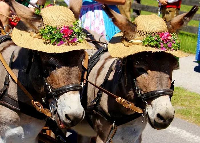 Haus Intaba Apartment Ramsau am Dachstein